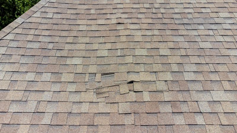 Asphalt Roof Inspection in Camden, NJ