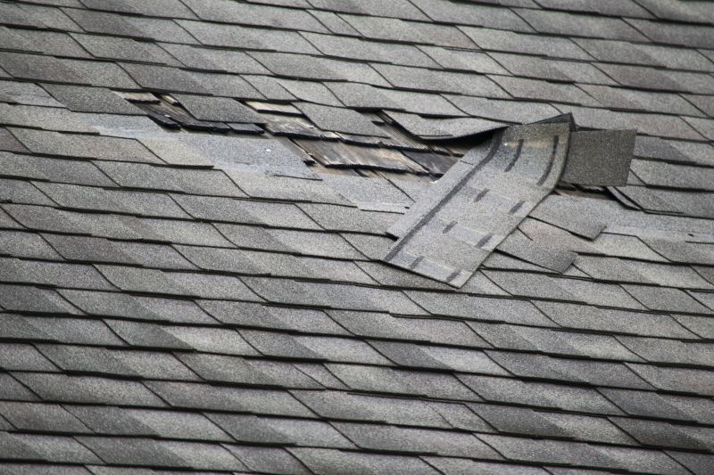 Asphalt Roof Leak Repair in Vineland, NJ