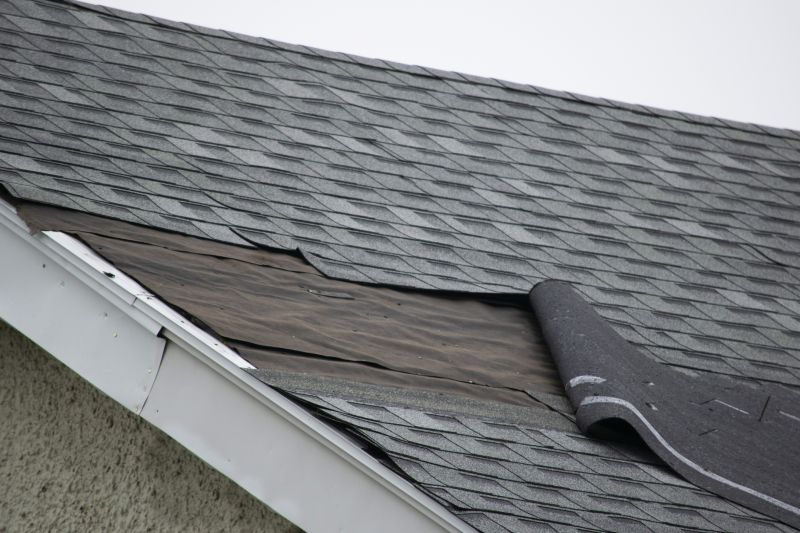 Asphalt Shingles Repair in Collingswood, NJ