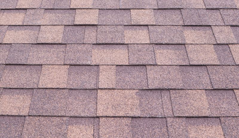 Composite Shingle Repair in Camden County, NJ