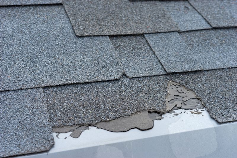 Damaged Roof Repair in Burlington, NJ