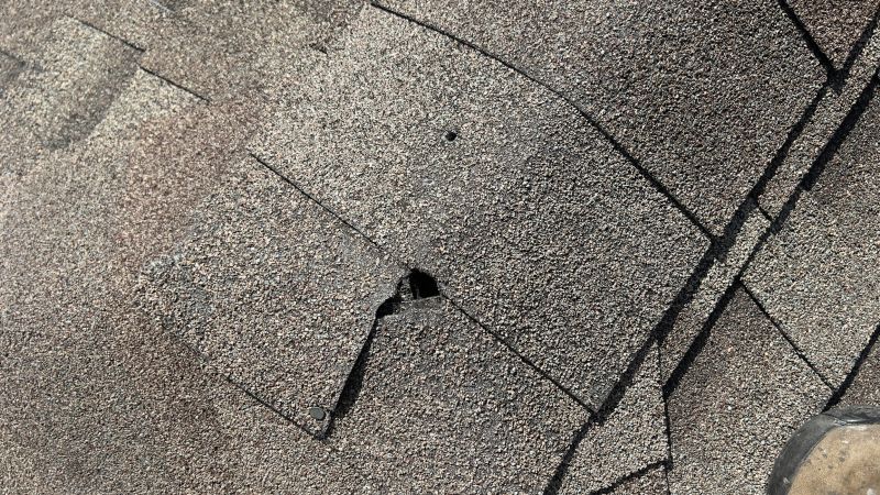 Damaged Roof Repair in Camden County, NJ