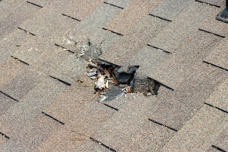Damaged Roof Replacement in Camden County, NJ