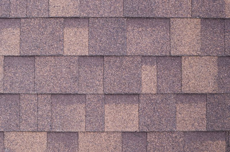 Fiberglass Shingles Repair in Camden County, NJ