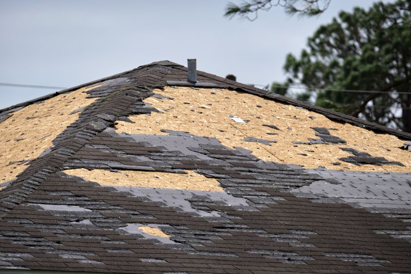 Roof Damage Restoration in Audubon, NJ