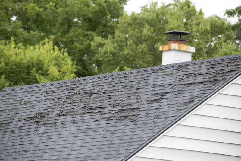 Roof Hail Damage Repair in Camden County, NJ