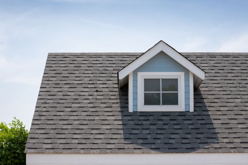 Roof Patching Service in Camden County, NJ