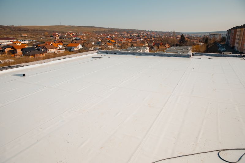 Rubber Roof Repair in Williamstown, NJ