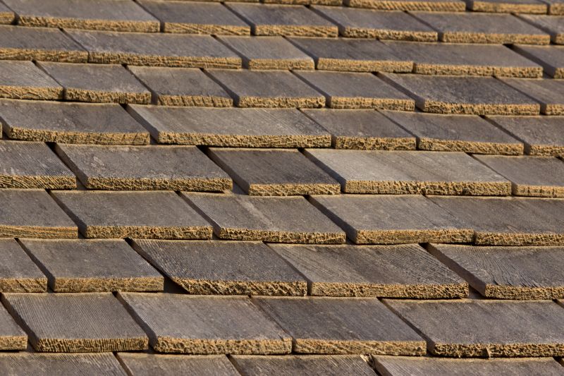 Shake Shingle Repair in Willingboro, NJ