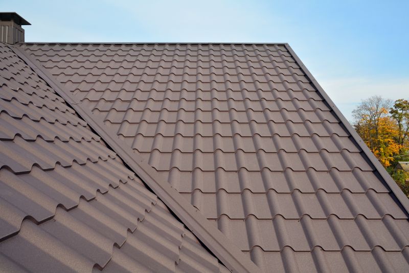 Tin Roof Installation in Birmingham, NJ