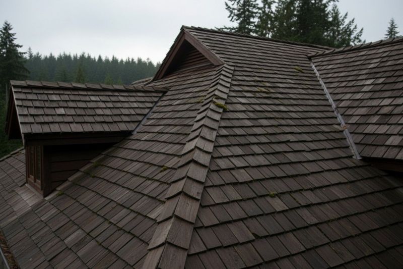 Wood Shake Roof Replacement in Hainesport, NJ